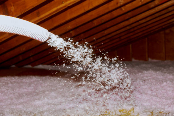 Best Cellulose Insulation in Mcgregor, FL