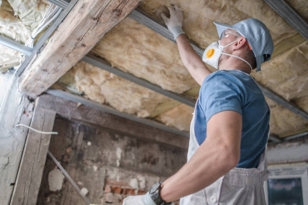 Types of Insulation We Offer in Mcgregor, FL