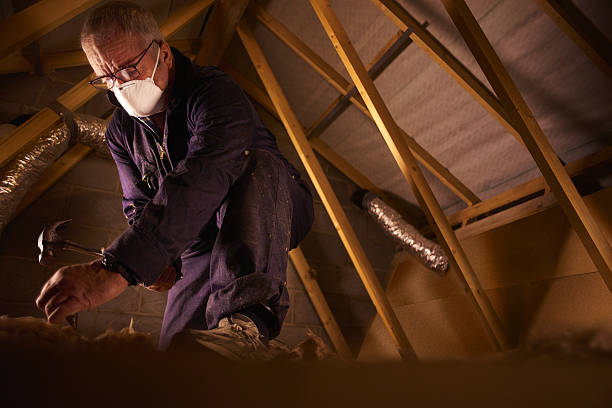 Best Eco-Friendly Insulation in Mcgregor, FL
