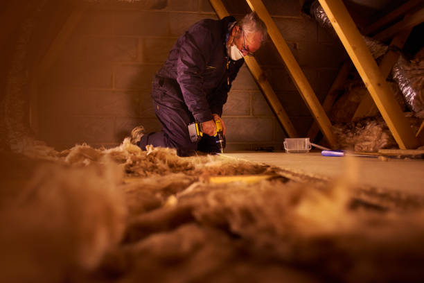 Best Geographic-Specific Insulation Services in Mcgregor, FL